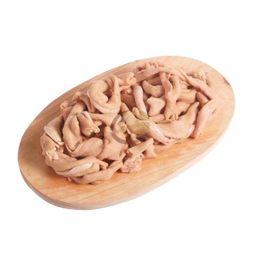 Usus